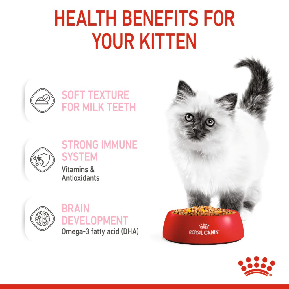 Royal Canin Kitten Jelly Cat Wet Food - Image 2