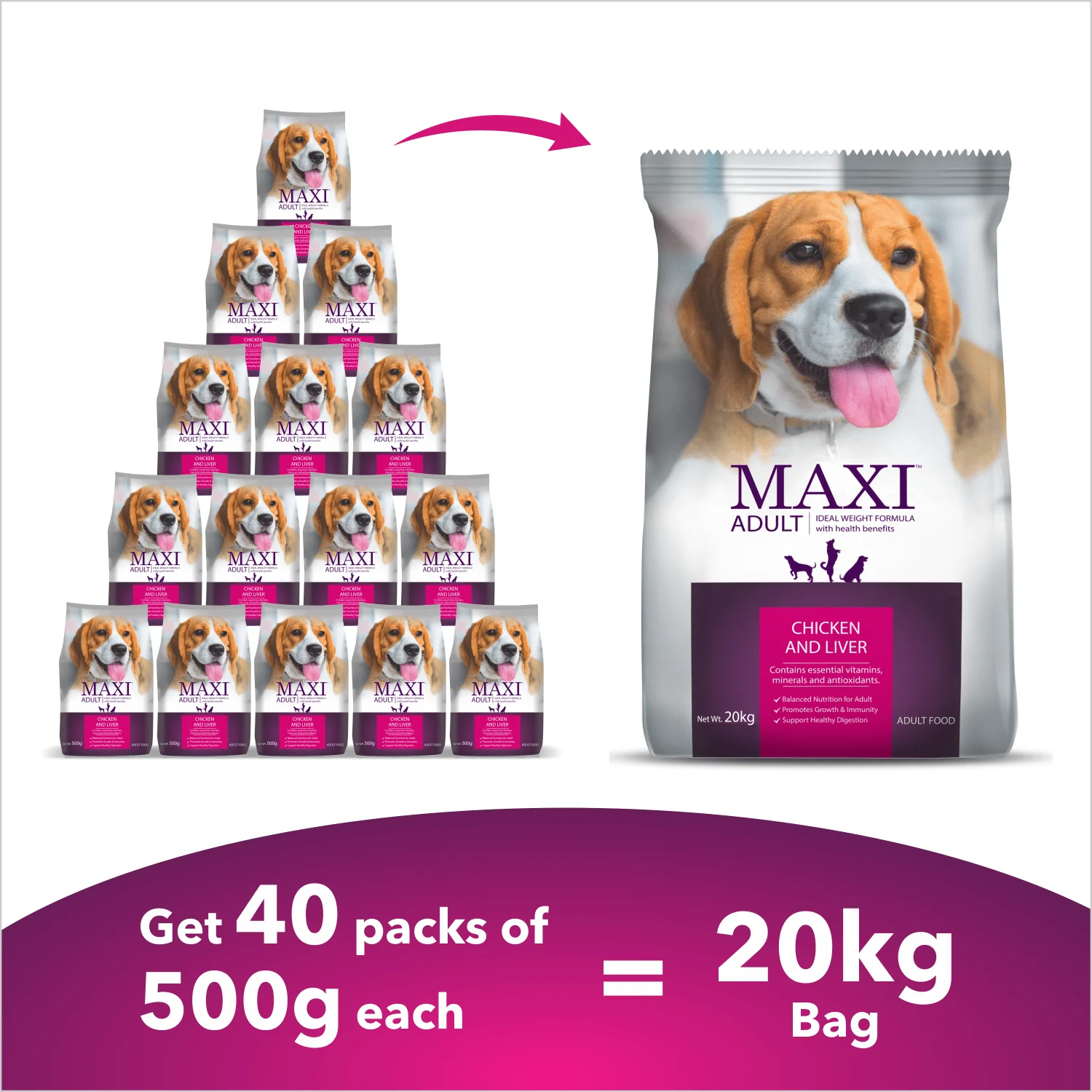 Maxi Adult Chicken and Liver Dog Dry Food 20 KG - Image 3