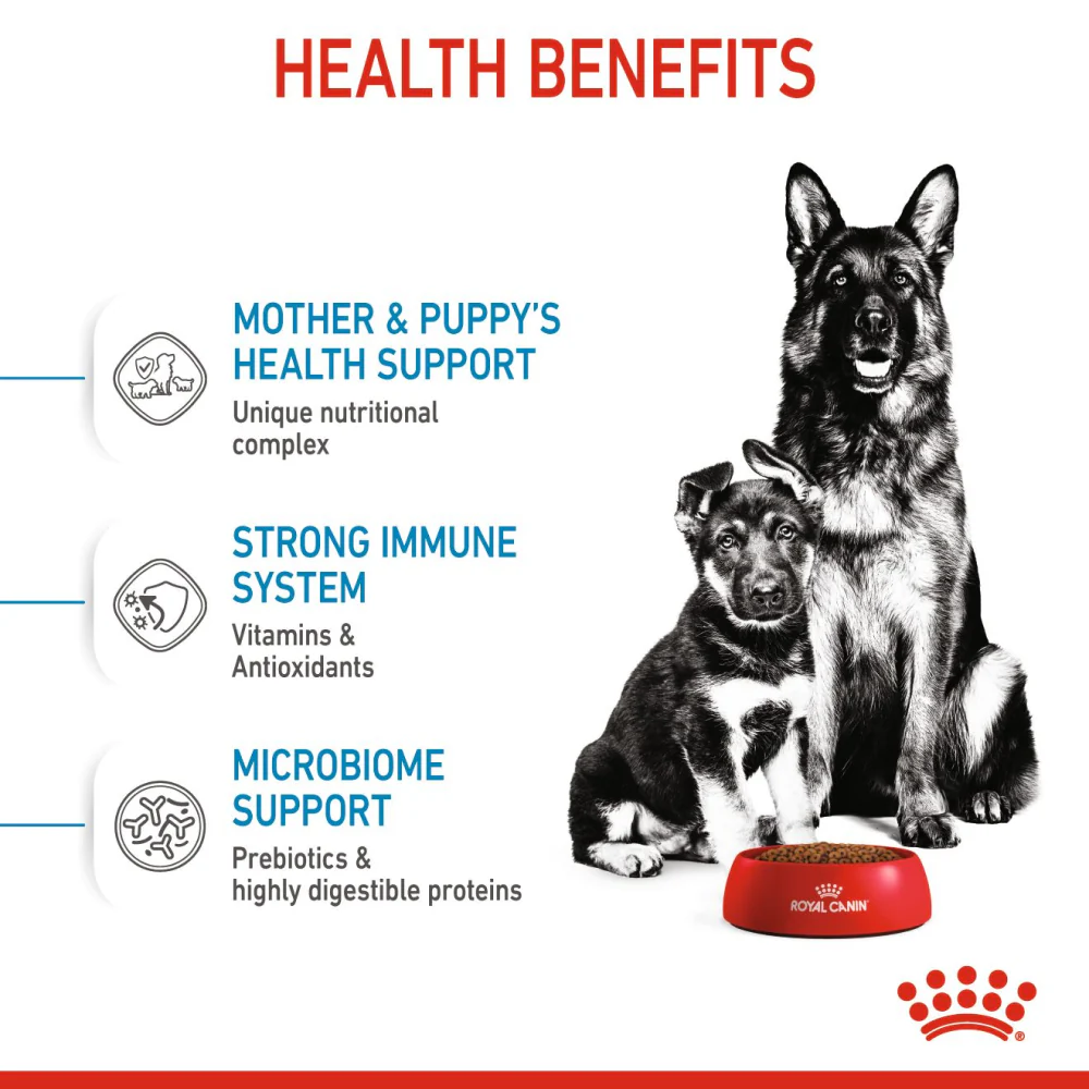Royal Canin Maxi Starter Dog Dry Food - Image 3