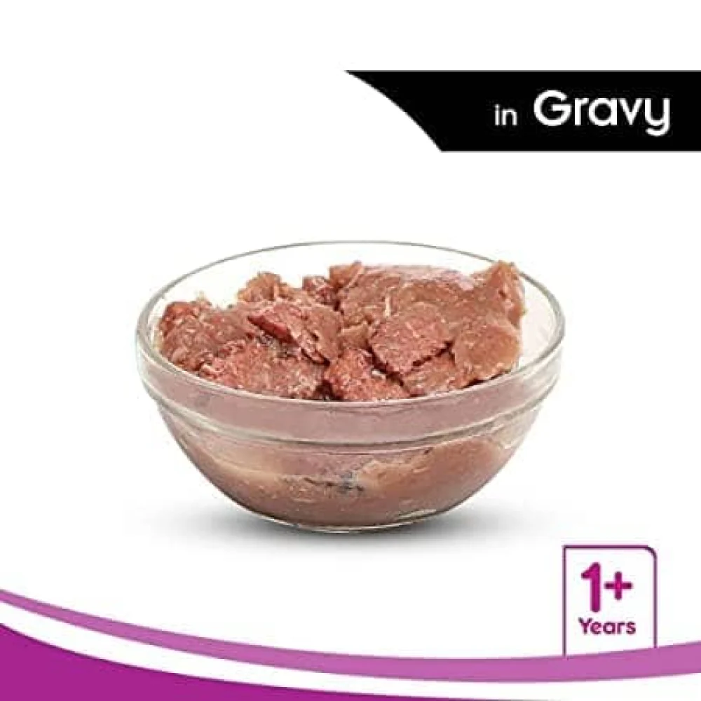 Whiskas Ocean Fish Adult Cat Wet Food - Image 8