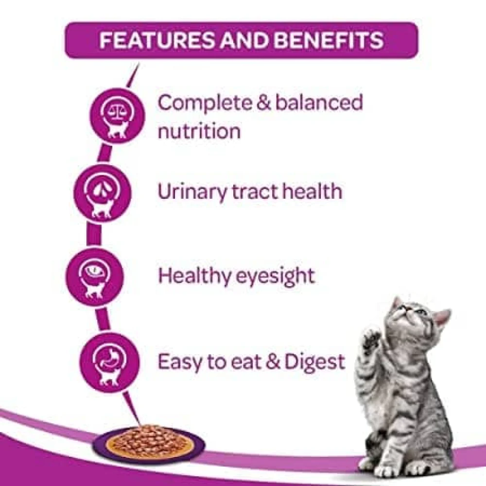 Whiskas Ocean Fish Adult Cat Wet Food - Image 6