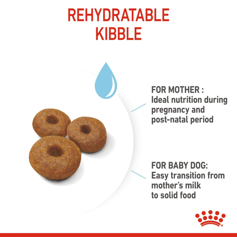 Royal Canin Maxi Starter Dog Dry Food - Image 4