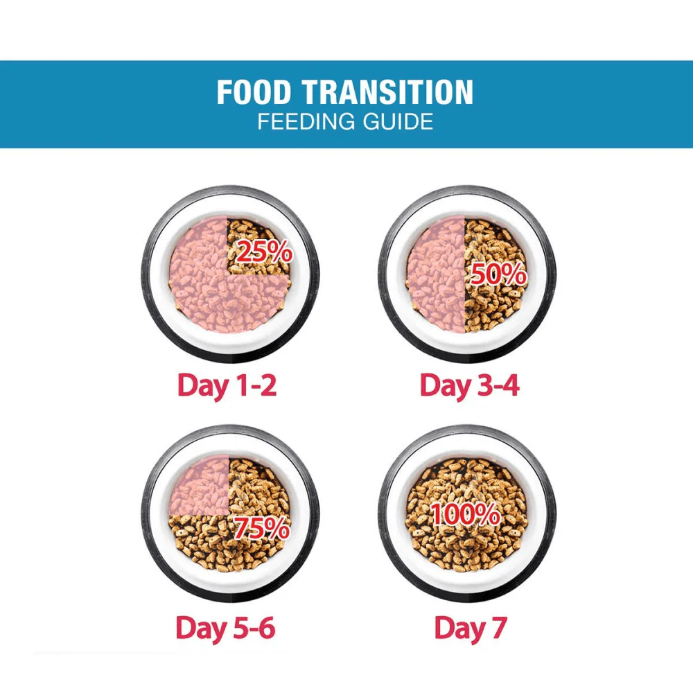 Me O Ocean Fish Kitten Cat Dry Food - Image 3