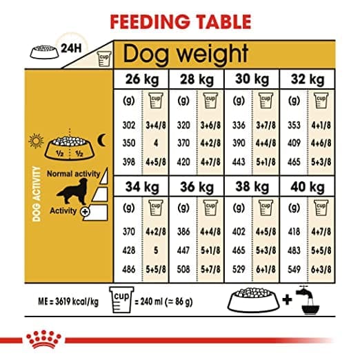 Royal Canin Golden Retriever Adult Dog Dry Food - Image 2