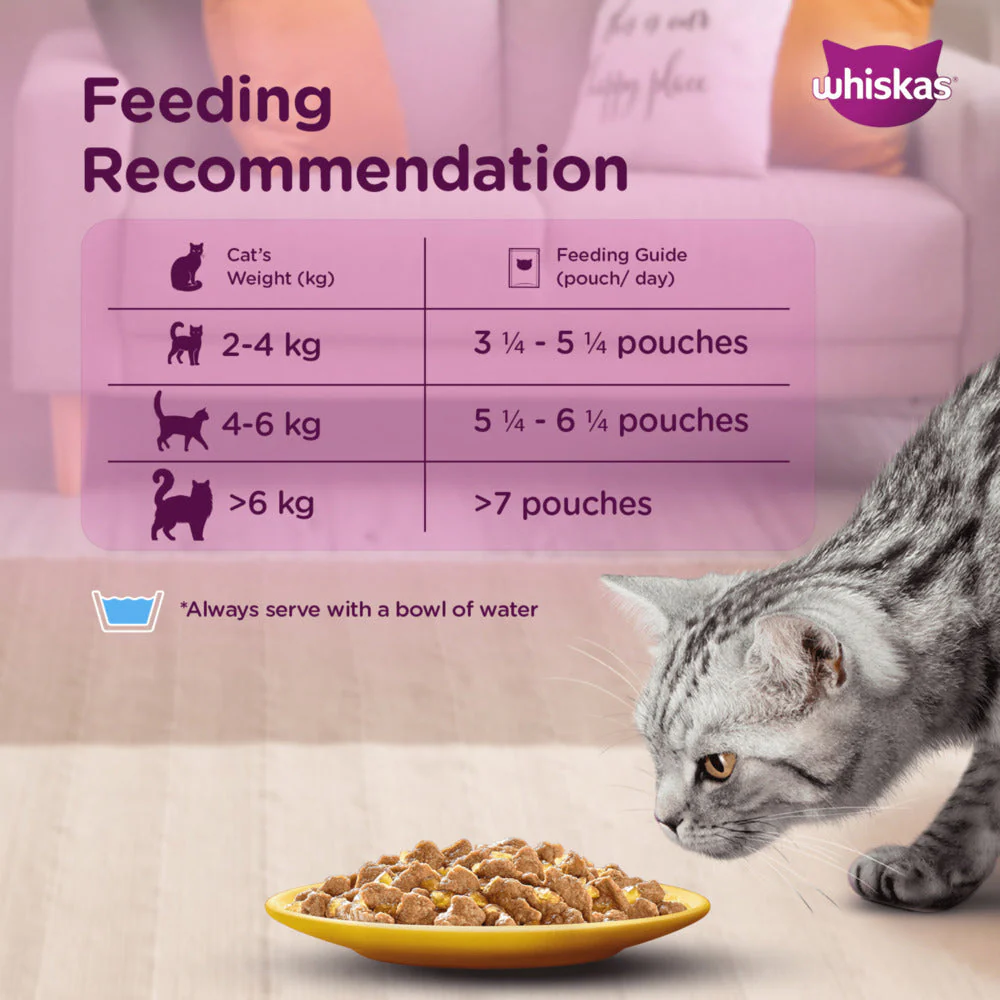 Whiskas Chicken in Gravy Adult Cat Wet Food - Image 3