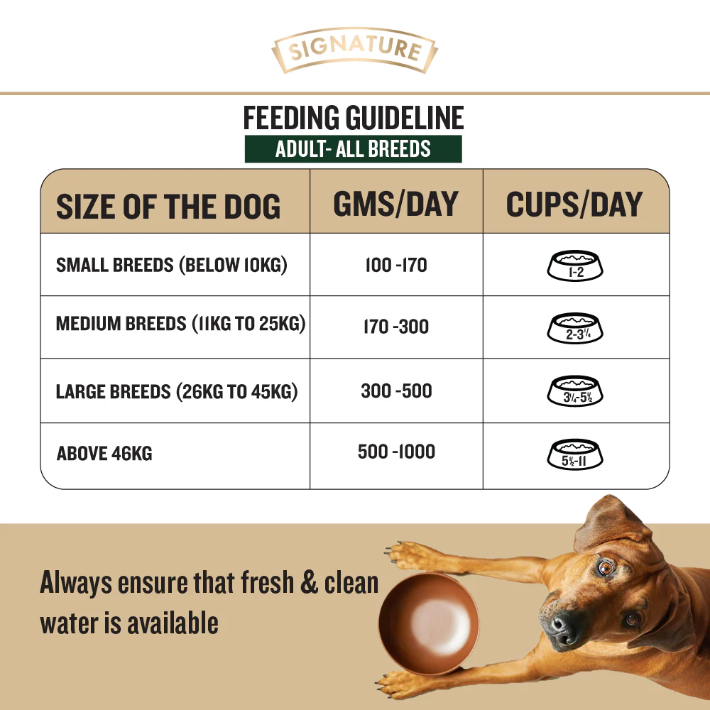 Signature Grain Zero Real Chicken, Egg and Vegetables Adult Dog Dry Food - Image 5