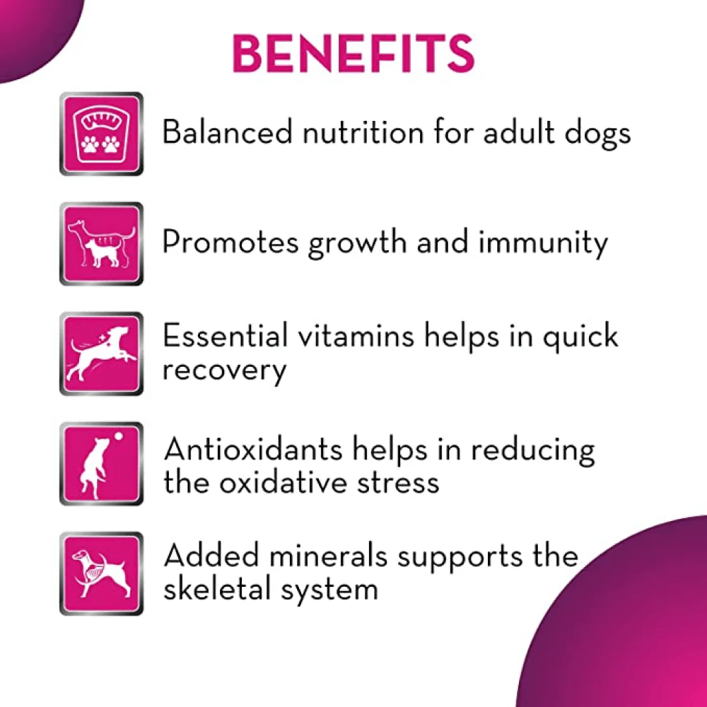 Maxi Adult Chicken and Liver Dog Dry Food 20 KG - Image 2