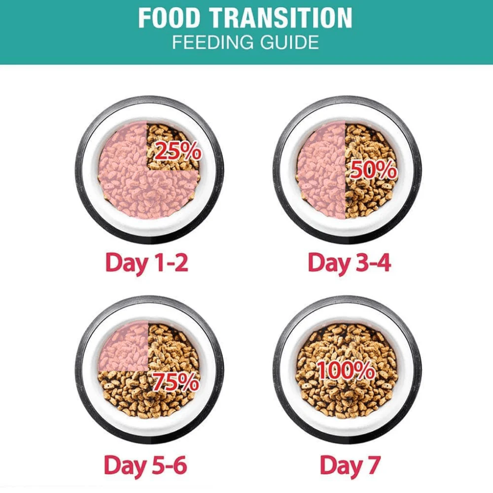 Me O Persian Kitten Cat Dry Food - Image 3